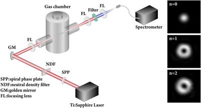 Nitrogen fluorescence emission pumped by femtosecond optical vortex beams